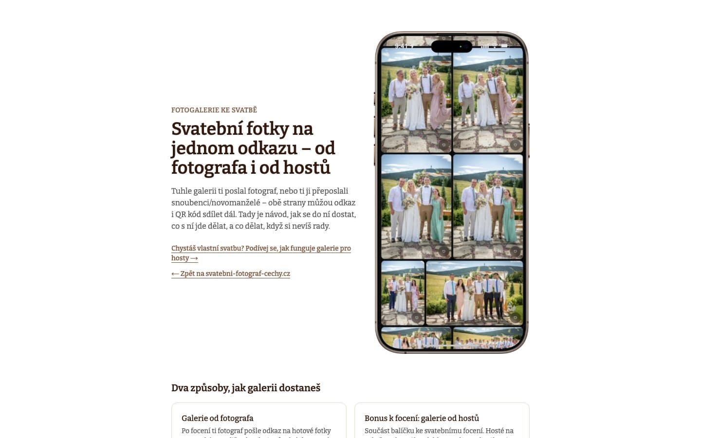 Svatební fotky na jednom odkazu: od fotografa i od hostů